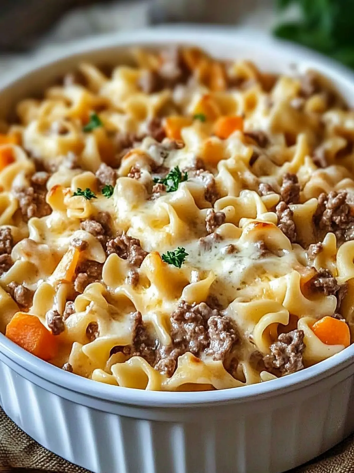 Creamy and Savory Sour Cream Beef Noodle Casserole